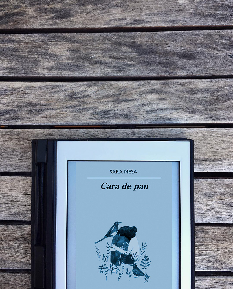Reseña: Cara de pan. Sara Mesa