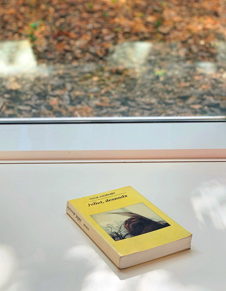 Reseña: Juliet, desnuda. Nick Hornby