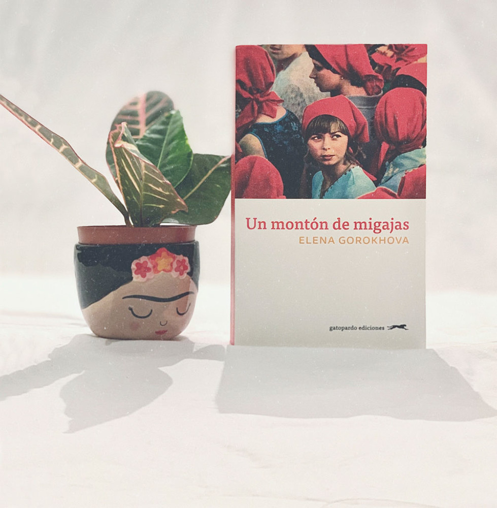 Reseña: Un montón de migajas. Elena Gorokhova