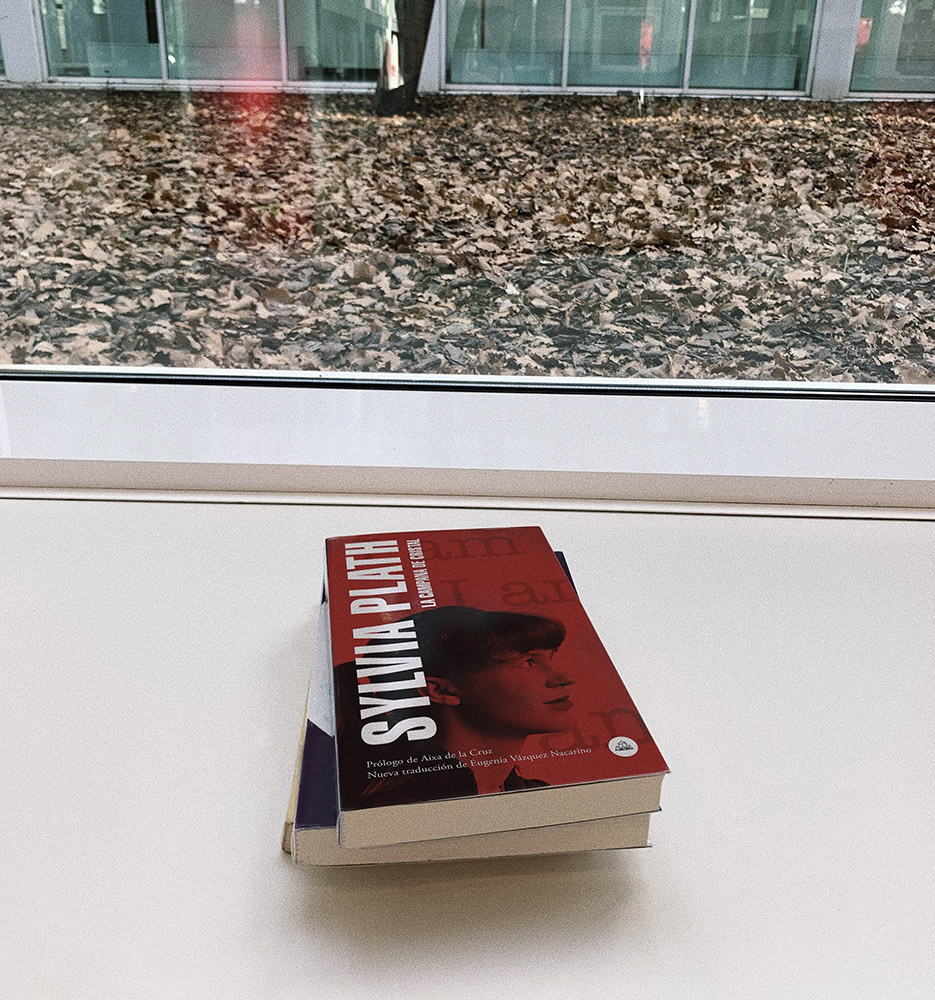 Reseña: La campana de cristal. Sylvia Plath