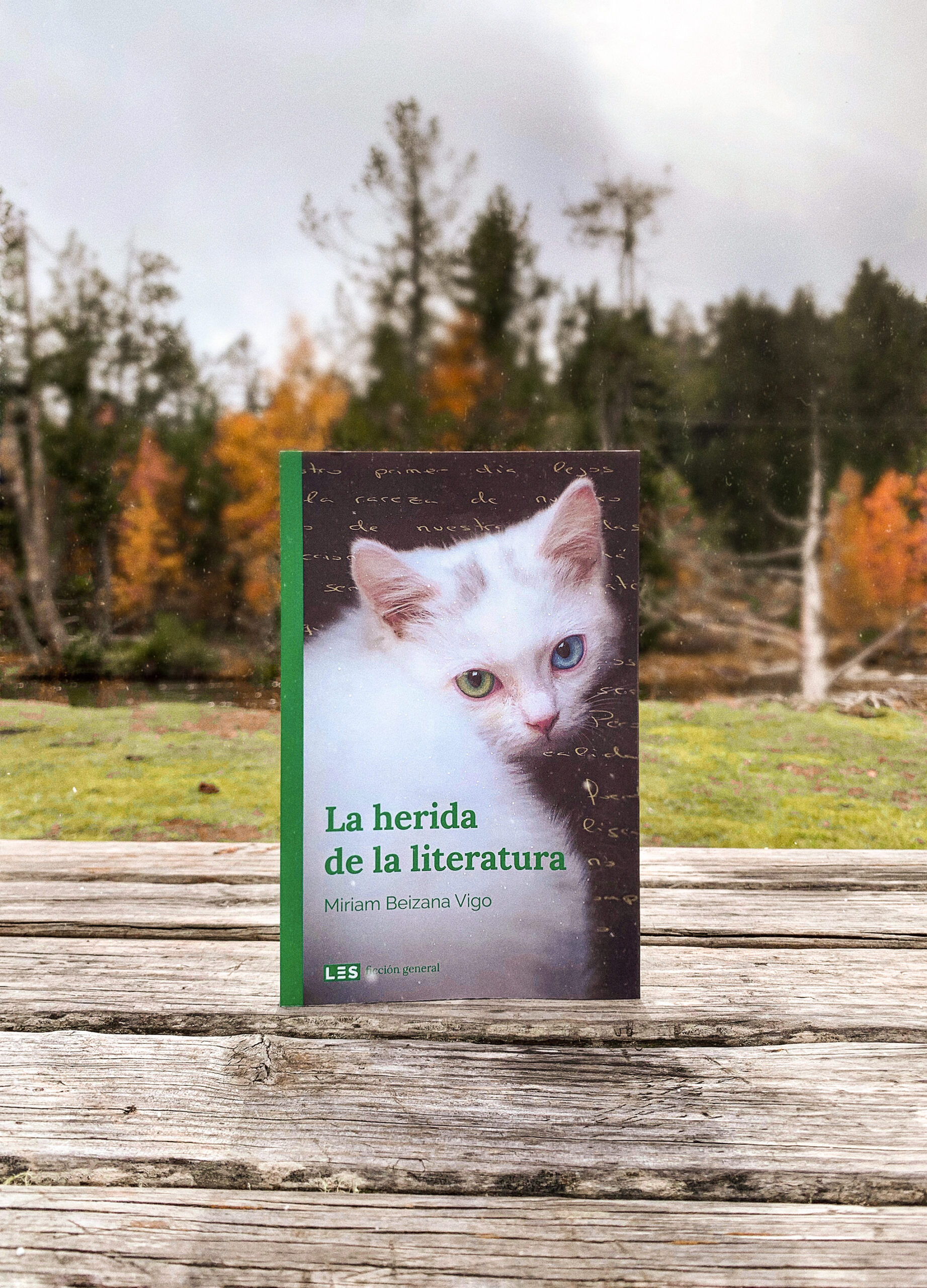 Reseña: La herida de la literatura. Miriam Beizana