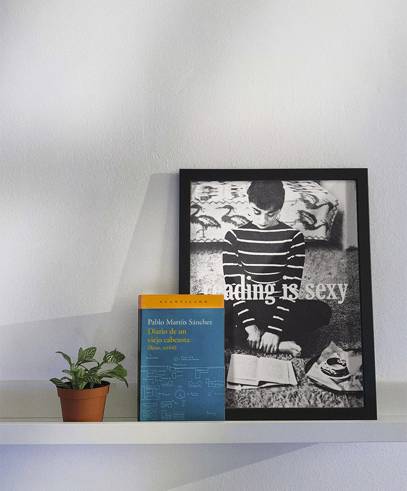 Reseña: Diario de un viejo cabezota. Pablo Martín Sánchez