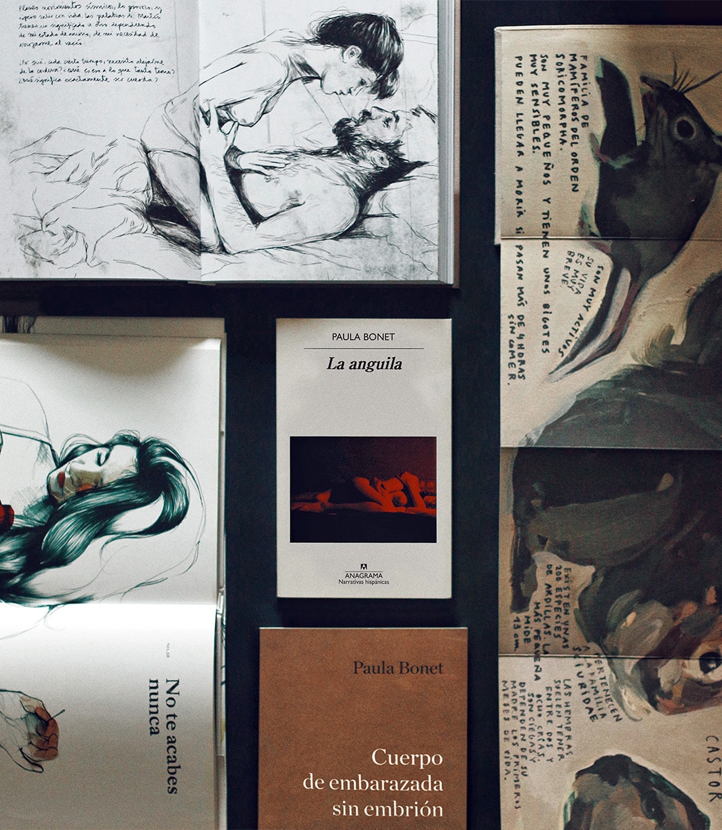 Reseña: La anguila. Paula Bonet