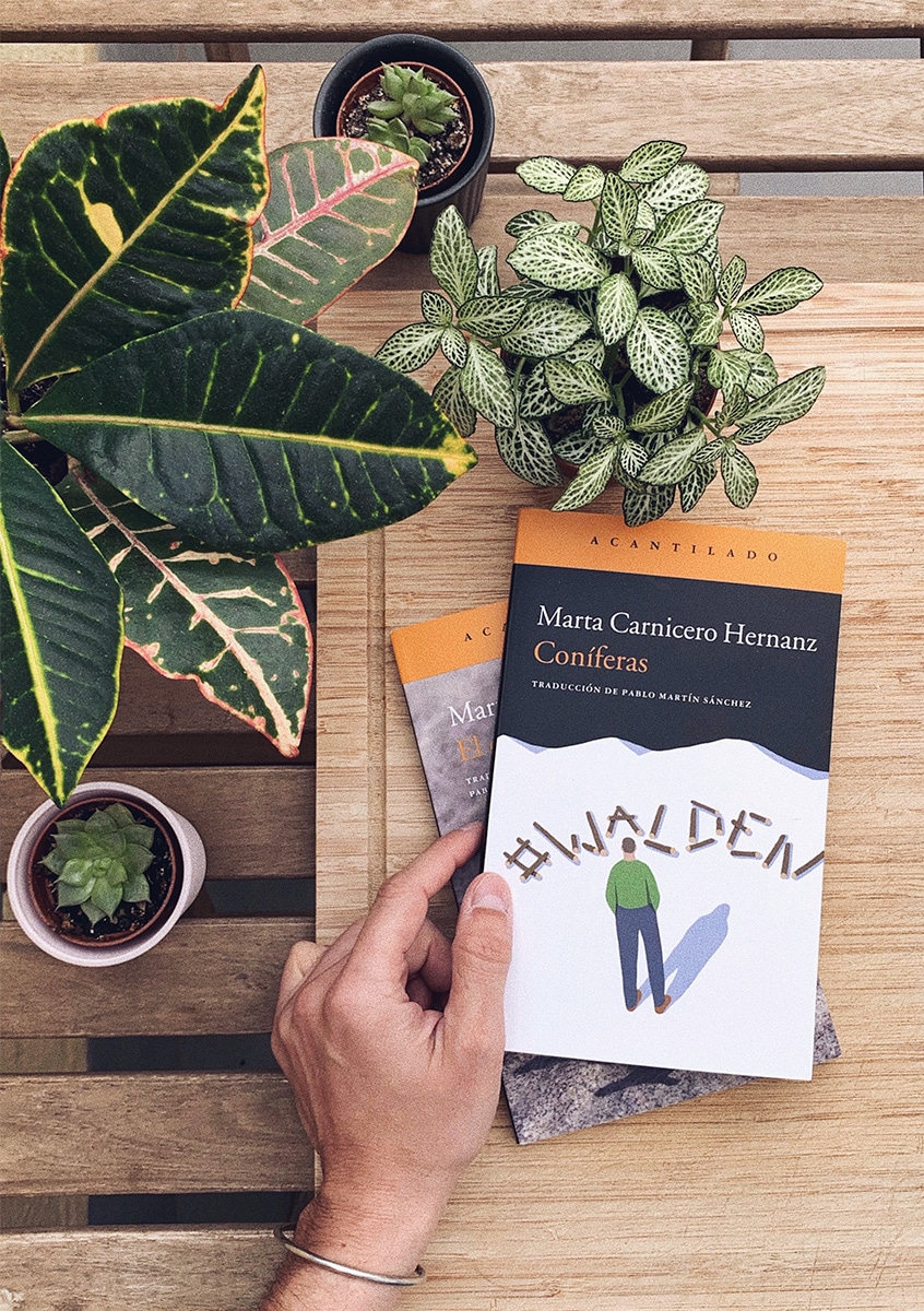 Reseña: Coníferas. Marta Carnicero