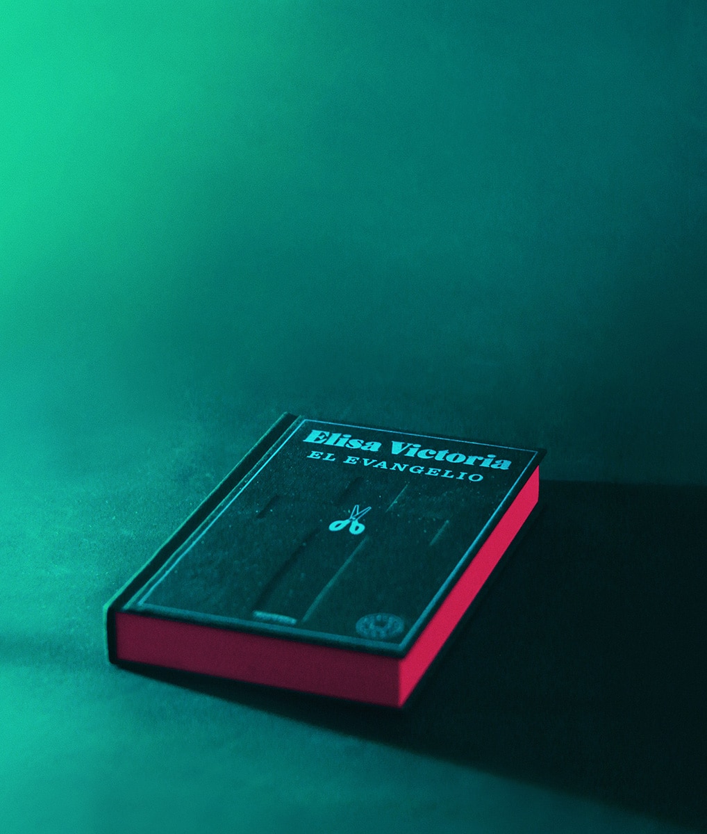 Reseña: El evangelio. Elisa Victoria