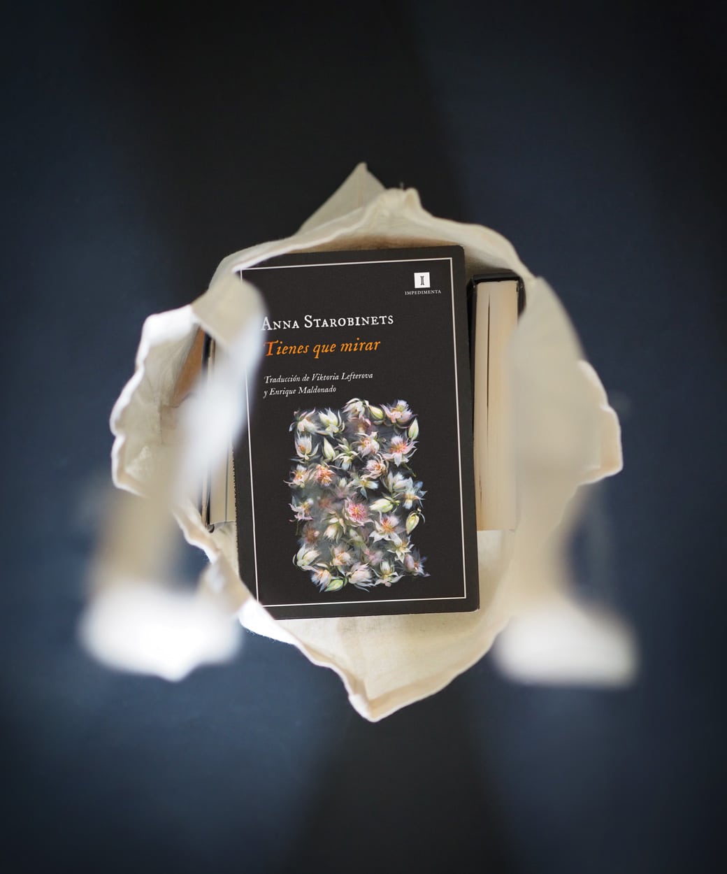 Reseña: Tienes que mirar. Anna Starobinets