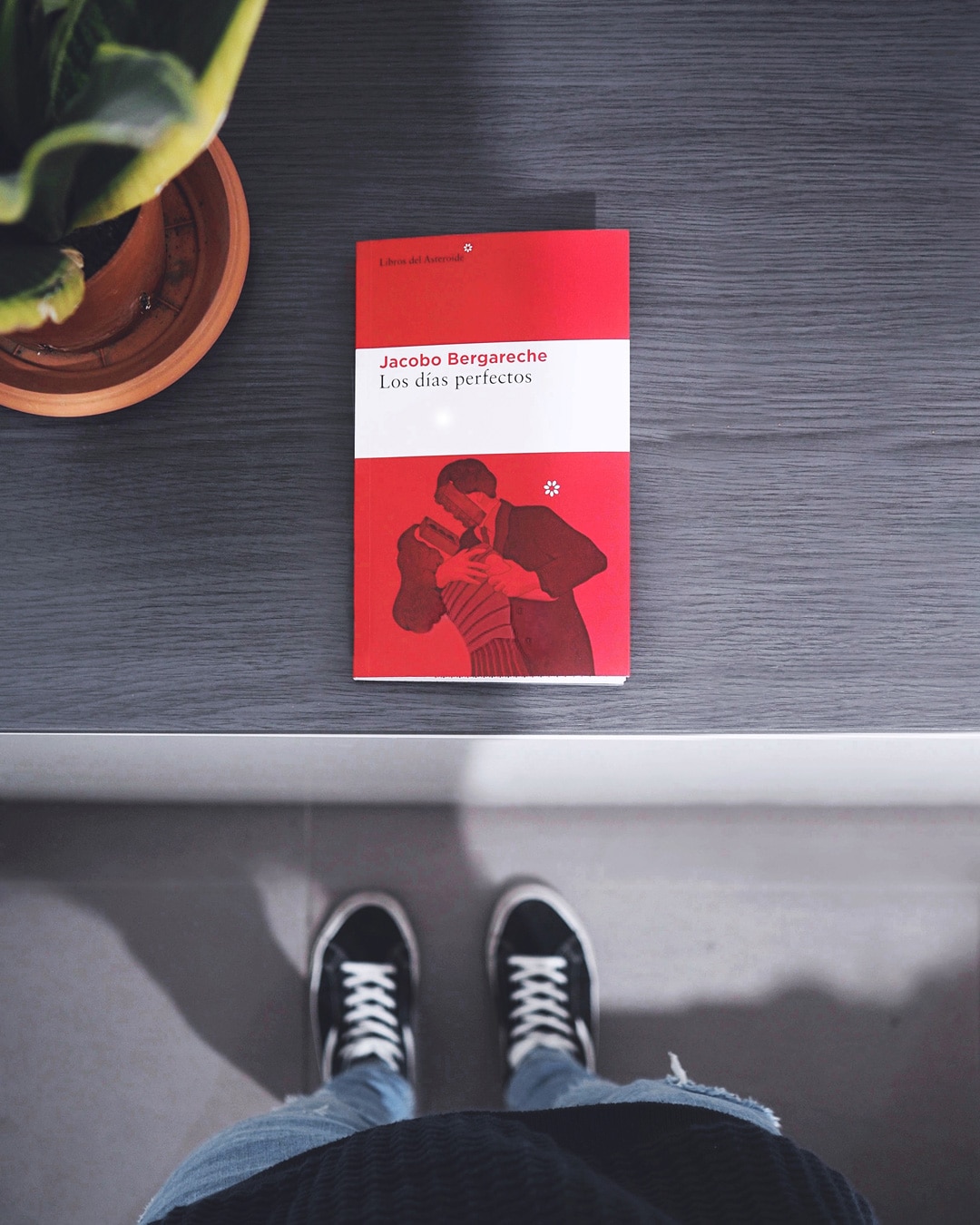 Reseña: Los días perfectos. Jacobo Bergareche